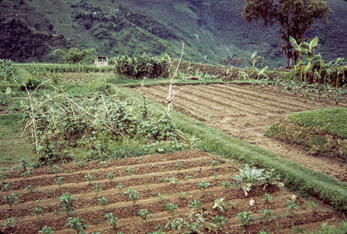 RP_CS0681.jpg