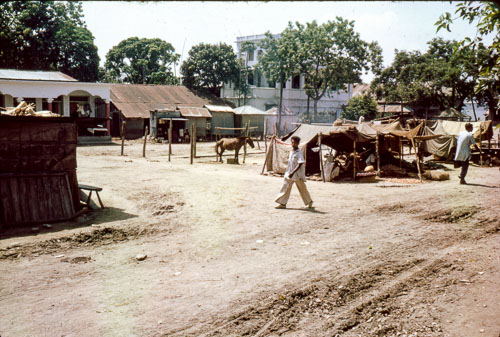 RP_FB01013.jpg