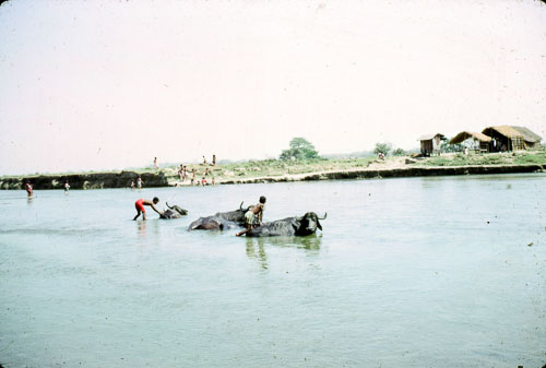 RP_FB01015.jpg