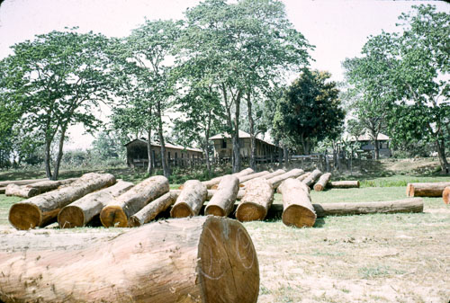 RP_FB01019.jpg