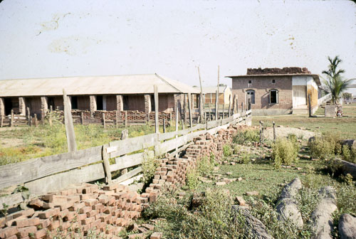 RP_FB01037.jpg RP_FB01037.jpg
