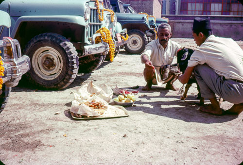 RP_FB01049.jpg RP_FB01049.jpg