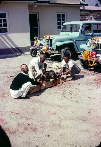 RP_FB01050.jpg RP_FB01050.jpg