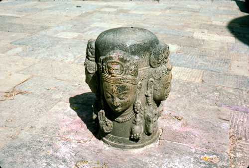 RP_FB0783.jpg RP_FB0783.jpg