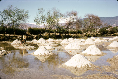 RP_FB0958.jpg