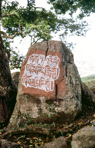 RP_FB0973.jpg