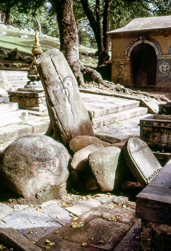 RP_FB0976.jpg