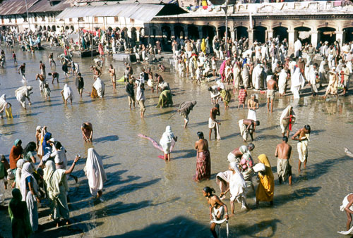Rp_FB01005.jpg