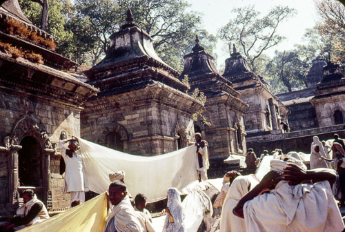Rp_FB01007.jpg