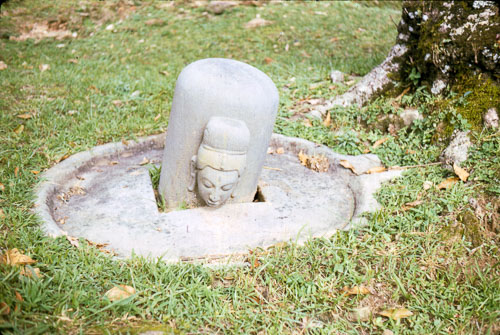 Rp_FB0997.jpg