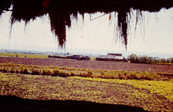 RPA0036.jpg
