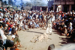 RPA0077.jpg