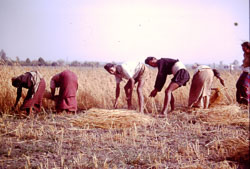 RPA0085.jpg