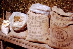 RPA0091.jpg