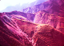 RPA0100.jpg