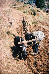 RC_CS0029.jpg