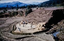 RC_CS0031.jpg