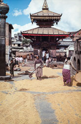 RC_CS0032.jpg