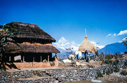 RC_CS0042.jpg