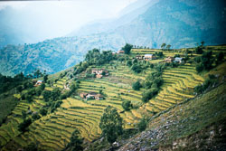 RC_CS0063.jpg