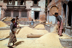 RC_CS0067.jpg