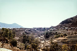 RC_CS0071.jpg