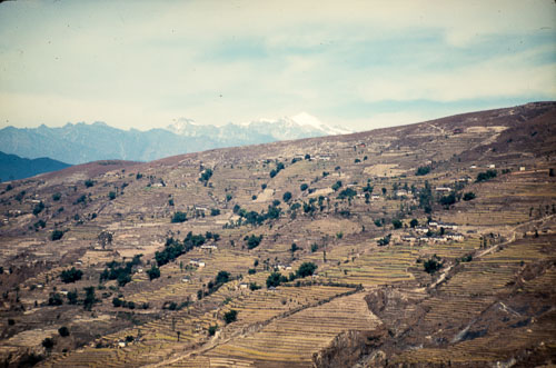 RE_CS00017.jpg RE_CS00017.jpg