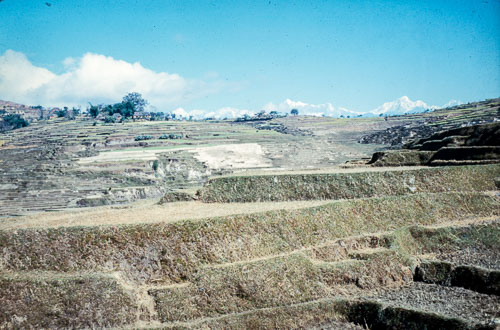 RE_CS00057.jpg RE_CS00057.jpg