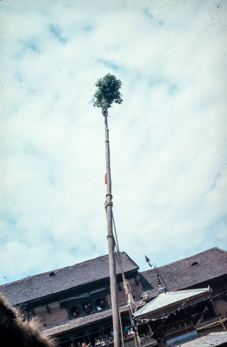 RE_CS00082.jpg RE_CS00082.jpg