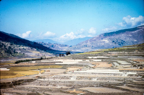 RE_CS00100.jpg RE_CS00100.jpg