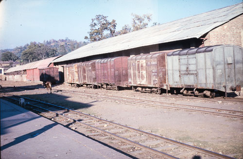 RE_CS00165.jpg RE_CS00165.jpg