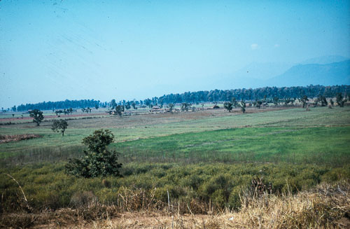RE_CS00166.jpg RE_CS00166.jpg