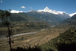 SF0037.jpg SF0037.jpg