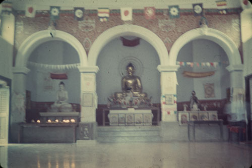 SV_CS00045.jpg