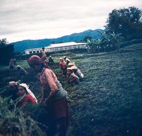 SV_CS00089.jpg