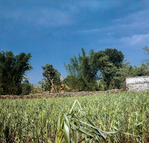 SV_CS00090.jpg