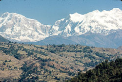 SI_FB000163.jpg