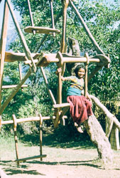 SI_FB00050.jpg