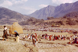 SL0022.jpg SL0022.jpg