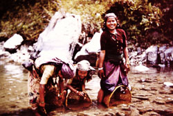 SL0034.jpg SL0034.jpg