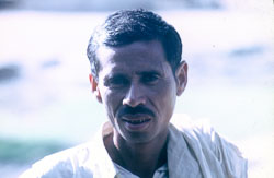 SM017.jpg SM017.jpg