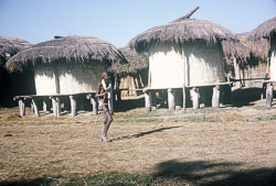 SM050.jpg SM050.jpg