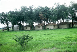 SM084.jpg SM084.jpg