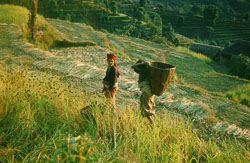 SU-0022.jpg SU-0022.jpg