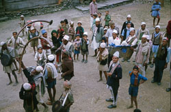 SU-0028.jpg SU-0028.jpg