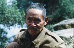 SU-0040.jpg SU-0040.jpg
