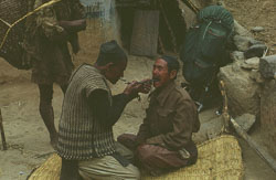 SU-0041.jpg SU-0041.jpg