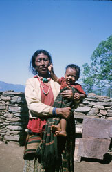 SU-0042.jpg SU-0042.jpg