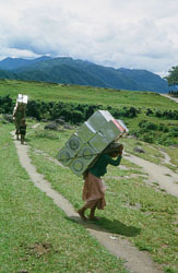SU-0050.jpg SU-0050.jpg