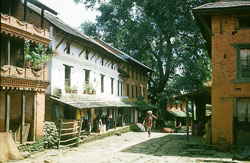 SU-0055.jpg SU-0055.jpg